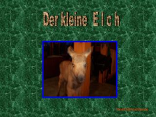 Der kleine E l c h