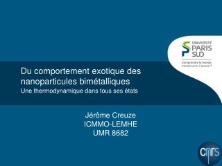 Du comportement exotique des nanoparticules bimétalliques