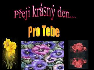 Pro Tebe