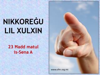 NIKKOREĠU LIL XULXIN 23 Ħadd matul is-Sena A