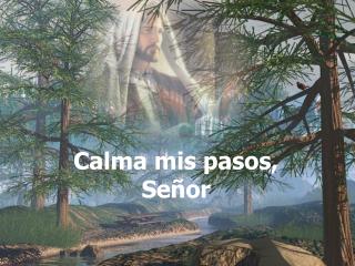 Calma mis pasos, Señor