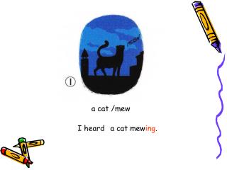 a cat /mew