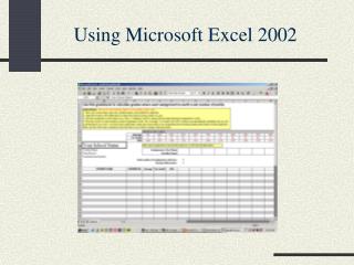 Using Microsoft Excel 2002