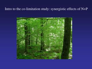 Intro to the co-limitation study: synergistic effects of N+P