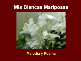 Mis Blancas Mariposas Melodía y Poema