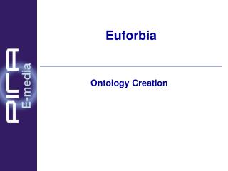 Euforbia