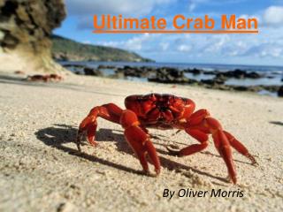 Ultimate Crab Man