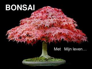 BONSAI