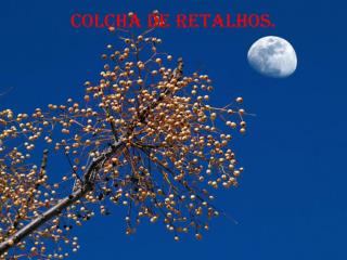 COLCHA DE RETALHOS.
