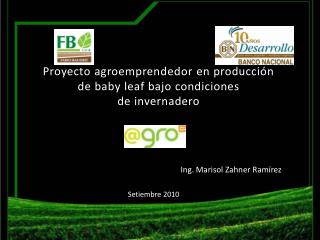 Proyecto agroemprendedor en producción de baby leaf bajo condiciones de invernadero