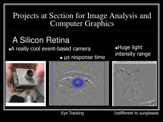 Projects at Section for Image Analysis and Computer Graphics