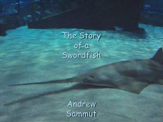 The Story of a Swordfish Andrew Sammut