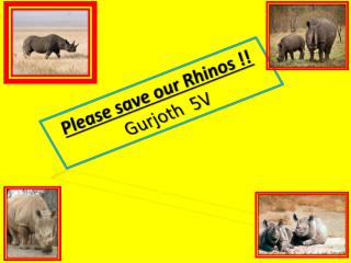 Please save our Rhinos !! Gurjoth 5V
