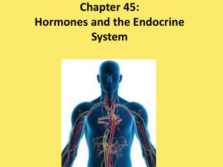 Chapter 45: Hormones and the Endocrine System
