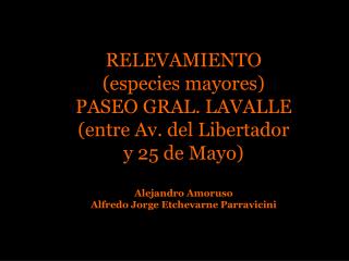 RELEVAMIENTO (especies mayores) PASEO GRAL. LAVALLE (entre Av. del Libertador y 25 de Mayo)