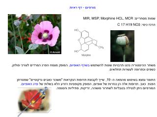 מורפיום - דף ראיות שמות מסחריים: MIR, MSP, Morphine HCL, MCR הרכז כימי: C 17 H19 NO3