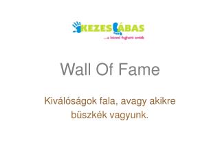 Wall Of Fame