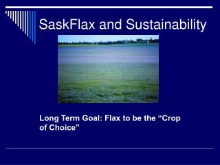 SaskFlax and Sustainability