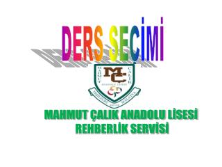 MAHMUT ÇALIK ANADOLU LİSESİ REHBERLİK SERVİSİ