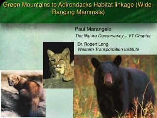 Green Mountains to Adirondacks Habitat linkage (Wide-Ranging Mammals)
