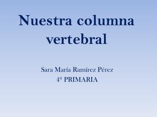 Nuestra columna vertebral