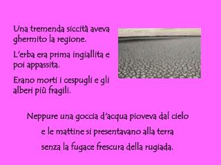 Una tremenda siccità aveva ghermito la regione. L'erba era prima ingiallita e poi appassita.