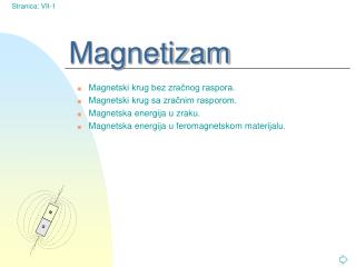 Magnetizam