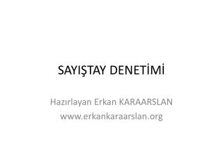 SAYIŞTAY DENETİMİ