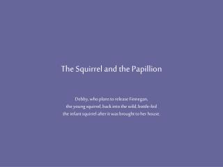 The Squirrel and the Papillion