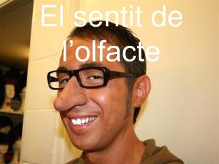 El sentit de l’olfacte