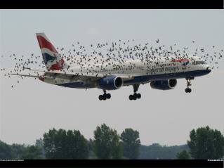 Best_Aviation_Photography_Ever_Done