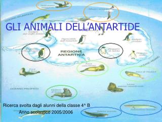 GLI ANIMALI DELL’ANTARTIDE