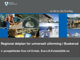 Regional delplan for universell utforming i Buskerud