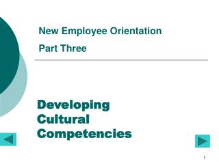 Developing Cultural Competencies