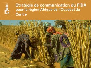 Stratégie de communication du FIDA pour la région Afrique de l’Ouest et du Centre
