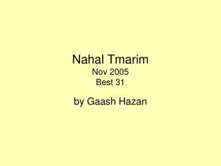 Nahal Tmarim Nov 2005 Best 31