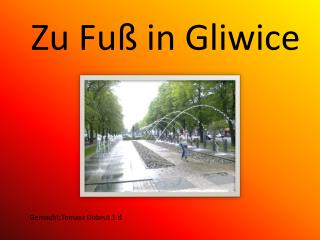 Z u Fuß in Gliwice