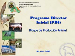 Programa Director Inicial (PDI)