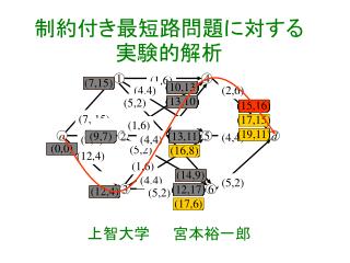 制約付き最短路問題に対する実験的解析