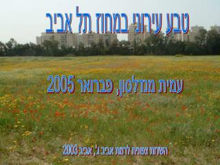 השדות צפונית לרמת אביב ג', אביב 2003