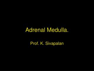 Adrenal Medulla.