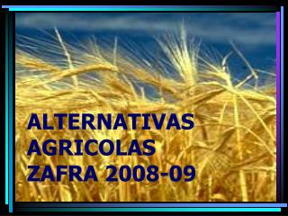 ALTERNATIVAS AGRICOLAS ZAFRA 2008-09