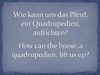 Wie kann uns das Pferd, ein Quadrupedien , aufrichten?