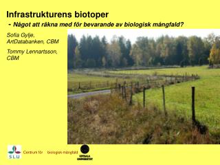 Infrastrukturens biotoper - Något att räkna med för bevarande av biologisk mångfald?