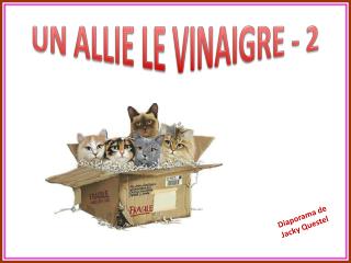 UN ALLIE LE VINAIGRE - 2