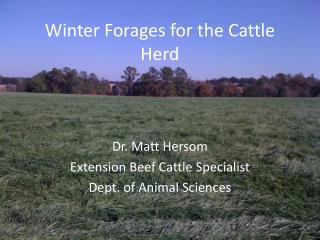 Winter Forages for the Cattle Herd