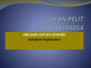 OKAN PELİT 200610105054