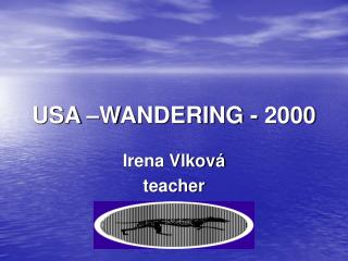 USA –WANDERING - 2000