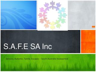 S.A.F.E SA Inc