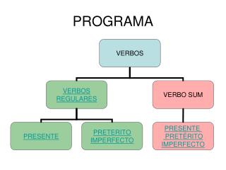 PROGRAMA